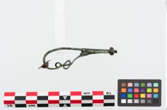 Foto von Bronzeschlangenfibel (NHMW-PRAE-024943)